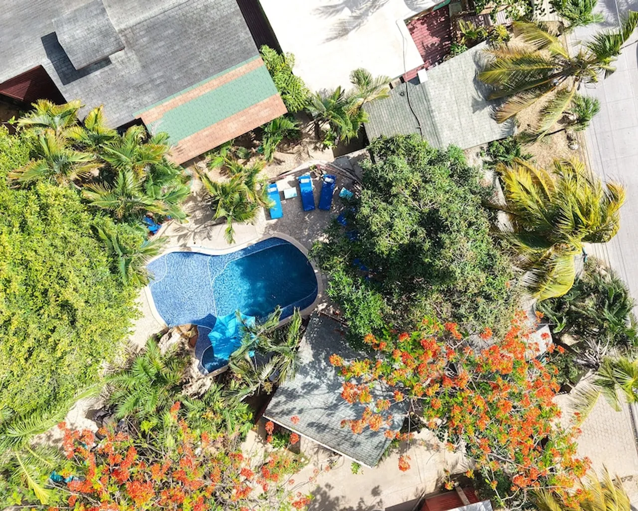 기본 이미지