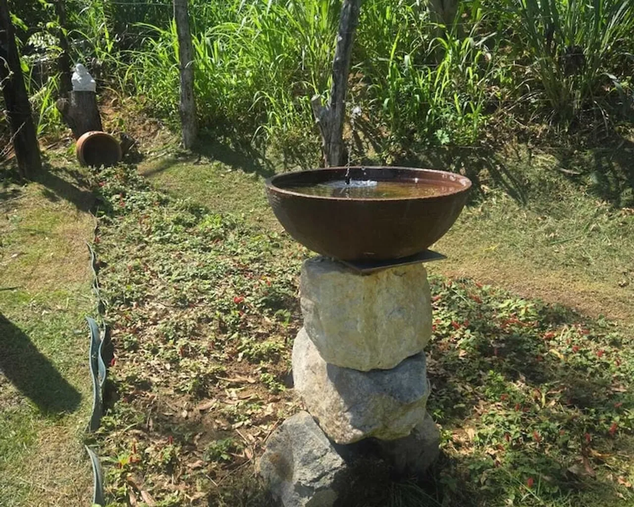 숙소 주변