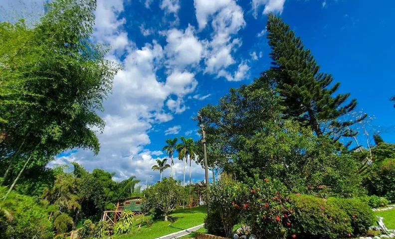 에코카바냐스 페레이라