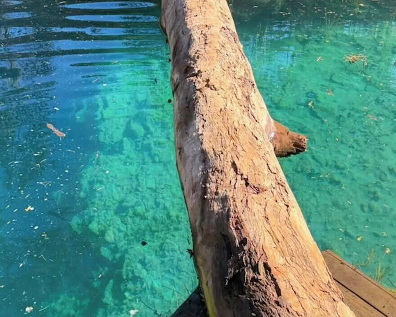 기본 이미지