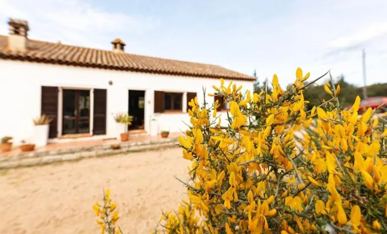 Casa ridente