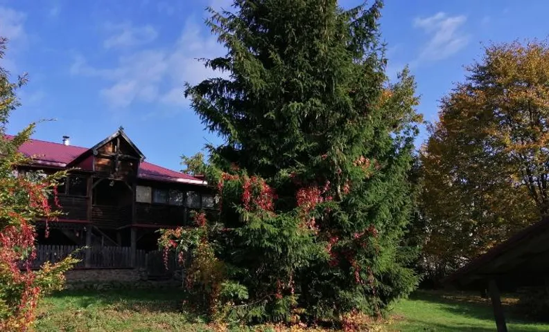 Na Wyraju