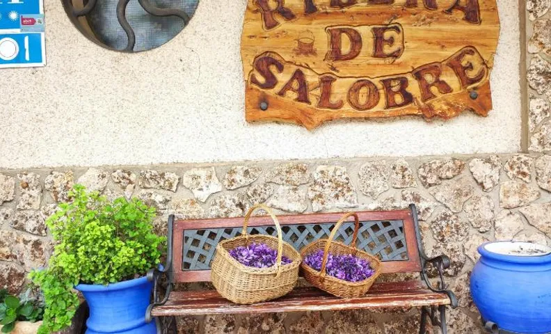 Hostal Ribera de Salobre