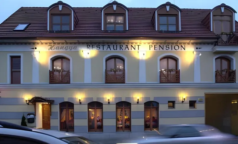 Hangya Panzio es Etterem