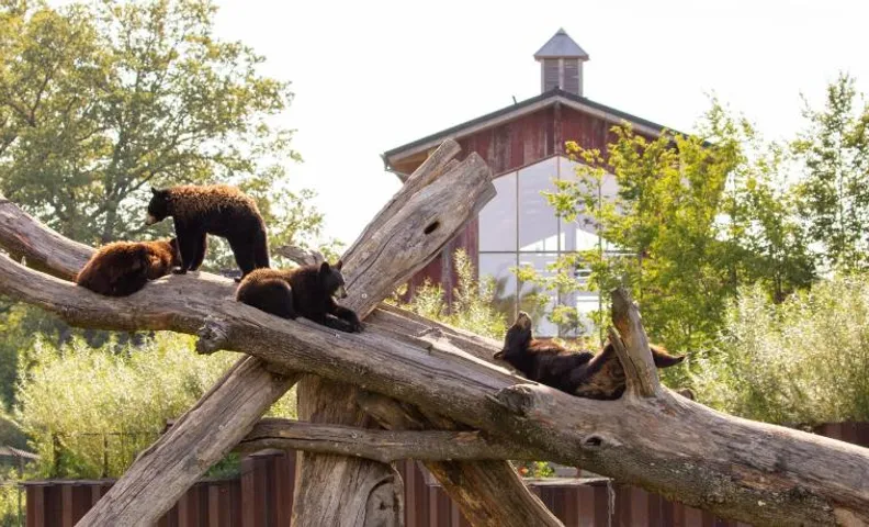 Parc Animalier de Sainte-Croix