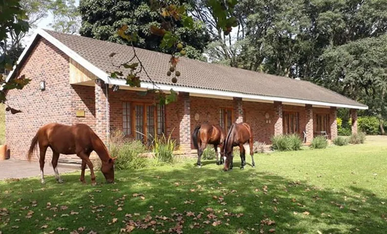 Chillifields Guesthouse