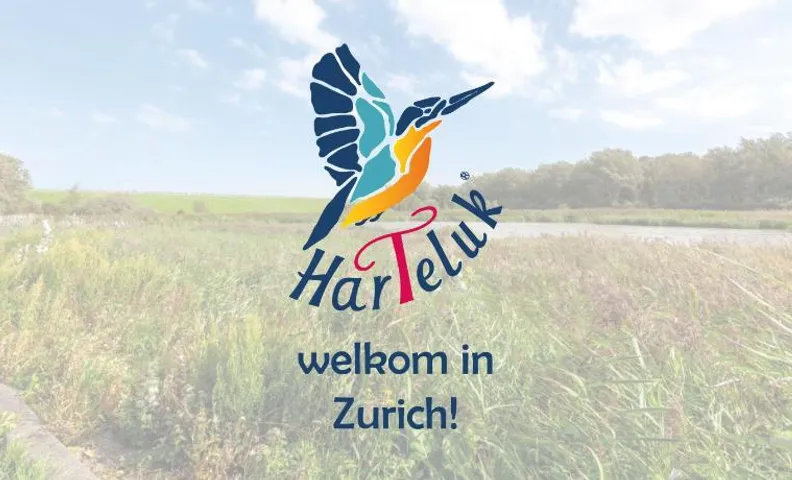 HarTeluk Afsluitdijk Zurich