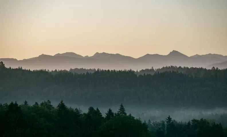 Bio-Landhotel Moarwirt