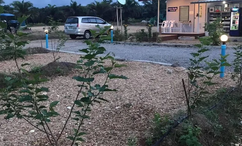 멀베리 리조트