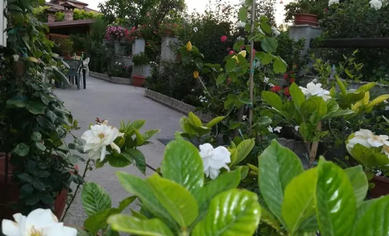 Villa delle rose