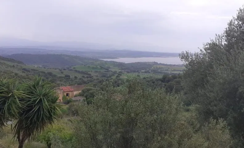 Bellavista Coghinas