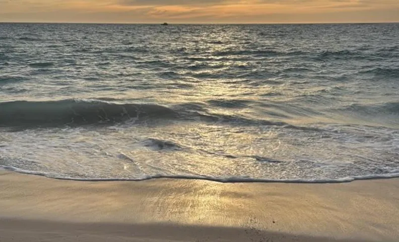 Beach House
