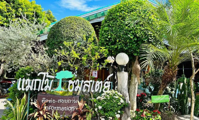 Magmai Homestay Tak