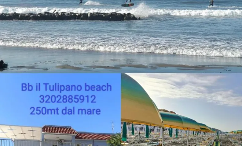 Affittacamere il Tulipano beach Formia