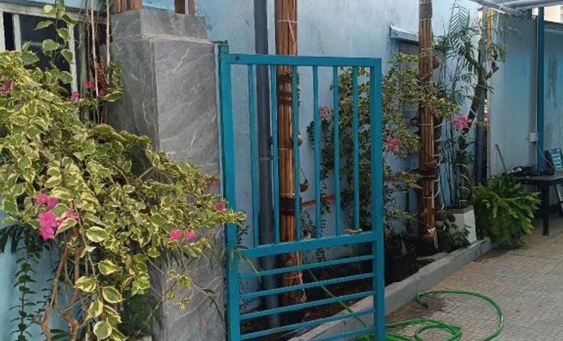 Mimosa Homestay