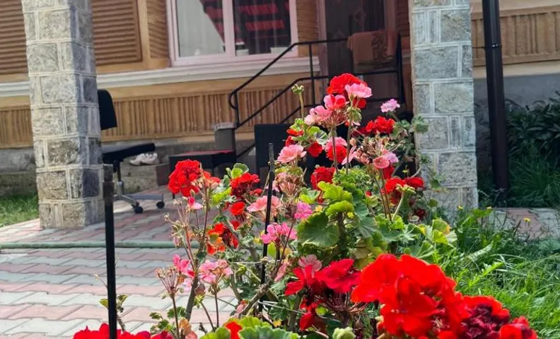Casa traditionala Subcetate