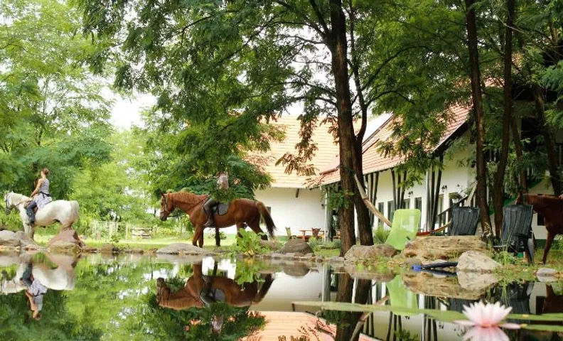 Hunor Lovastanya