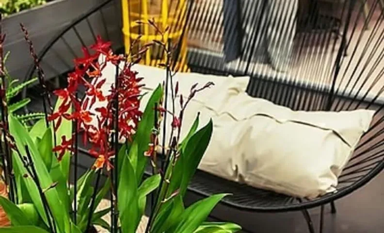 호텔 푸시팍 파크