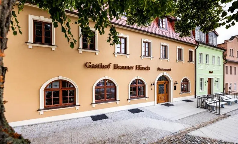 Brauner Hirsch Bernstadt