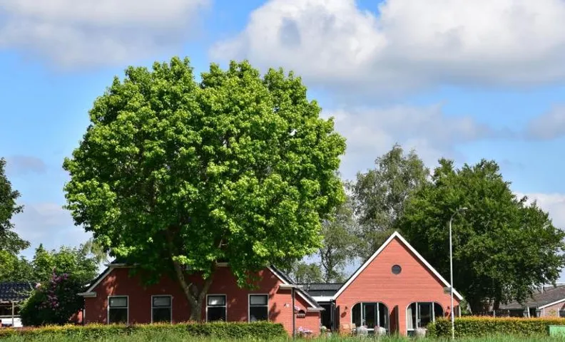 Doezumertocht