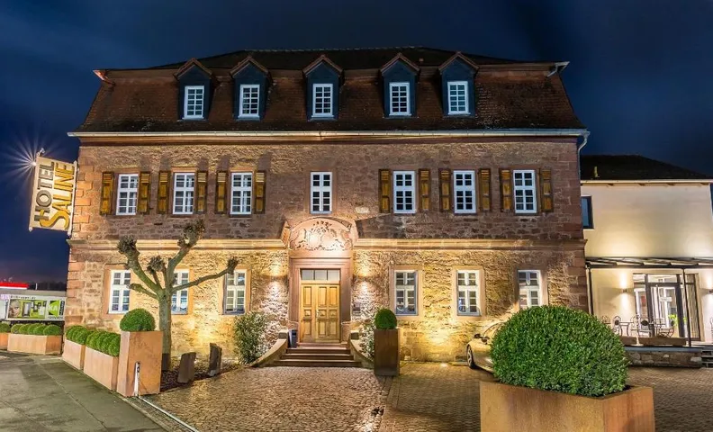Hotel Saline