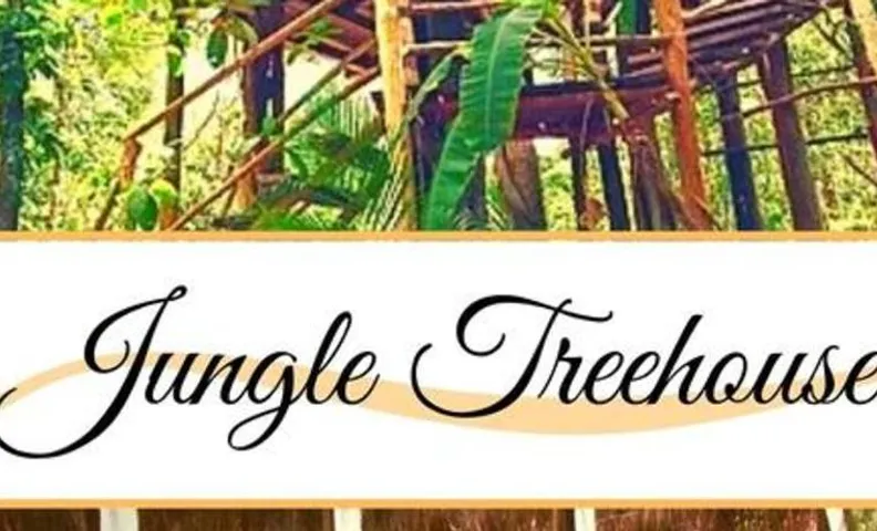 Exclusive Treehouse and Cenote - Sweet Jungle Dreams