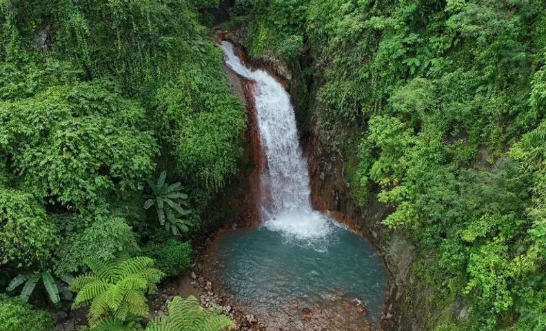 Pulangbato Falls Mountain Resort