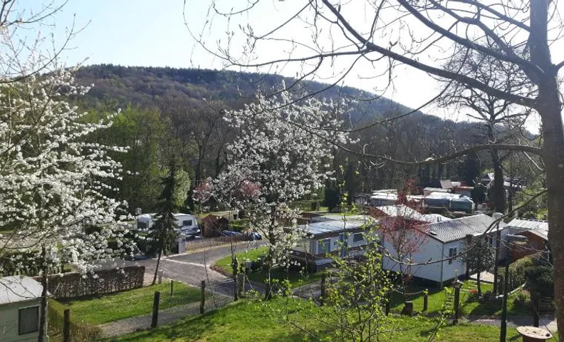 Camping Officiel Wollefsschlucht Echternach