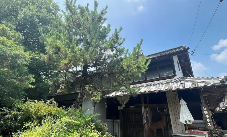 카미노 테라스