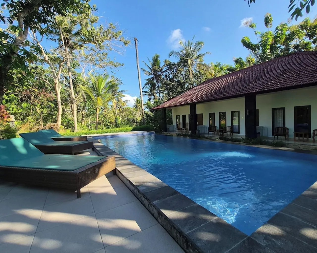 기본 이미지
