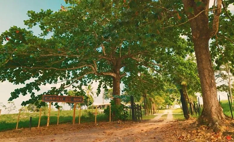Fazenda carro de boi