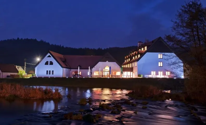 Hotel Vir