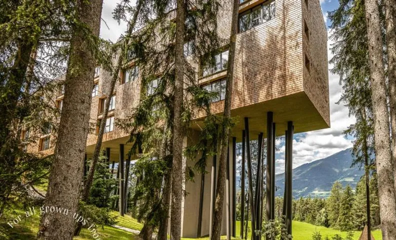 My Arbor - Dolomites