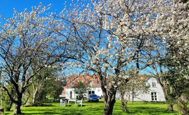 Lejbølle gamle Bageri værelse 2