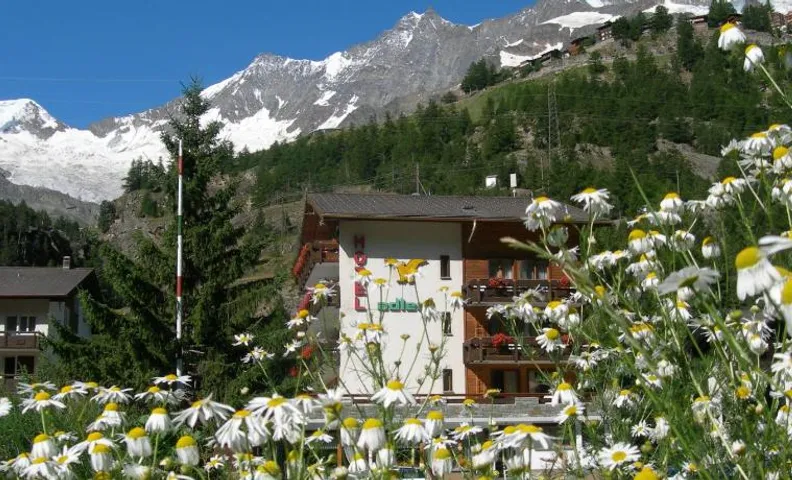 Hotel Adler