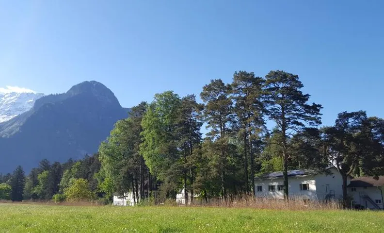 Treffpunkt Heuwiese