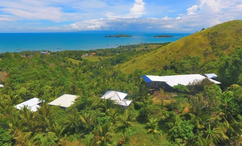 윈디 윌로우스