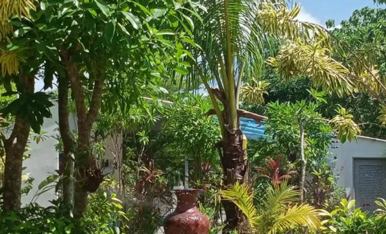 Mem Homestay