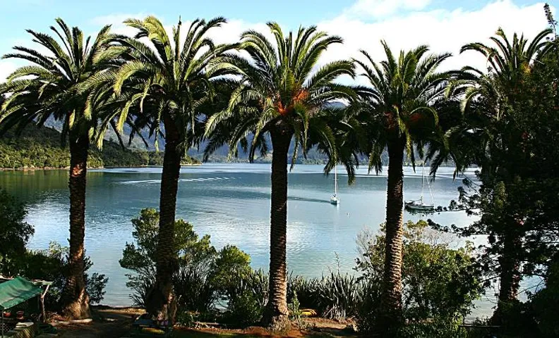 Te Mahia Bay Resort