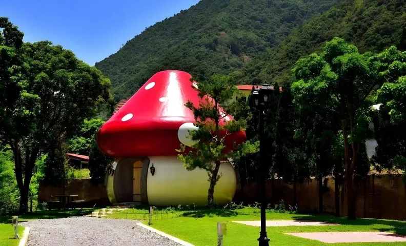 Mushroom Forest Guesthouse Camping Site