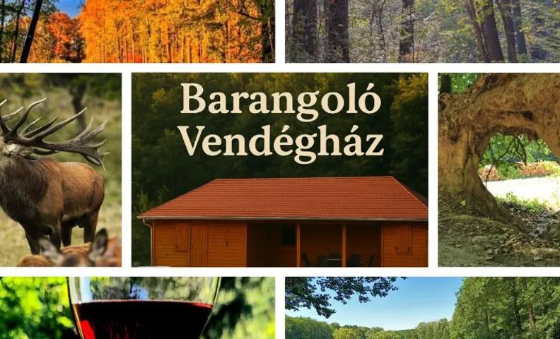 Zselici Barangoló Vendégház
