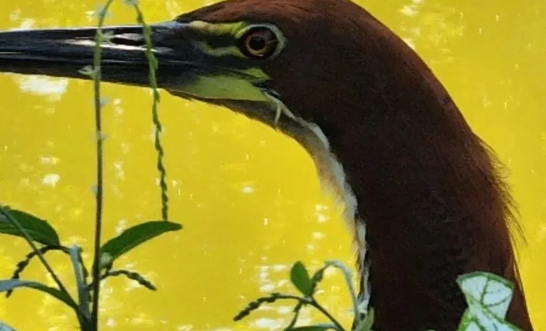Pousada Bom Jardim