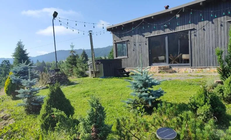 Panoramic Cabin Stânceni