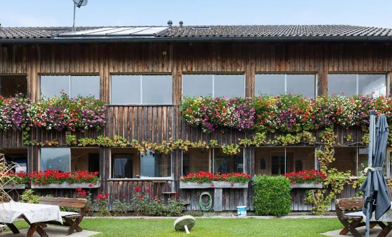Haus Vögel