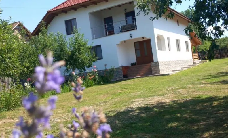 CASA LAVINIA CRASNA GORJ