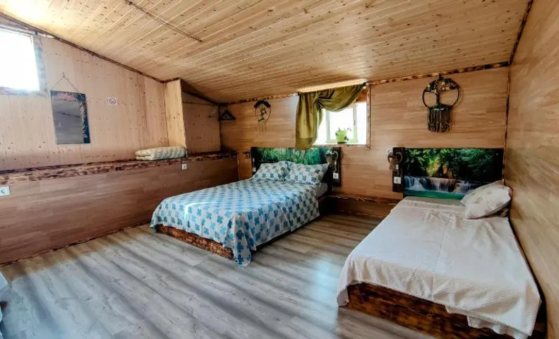 Família 12-Casa Amazonia PT