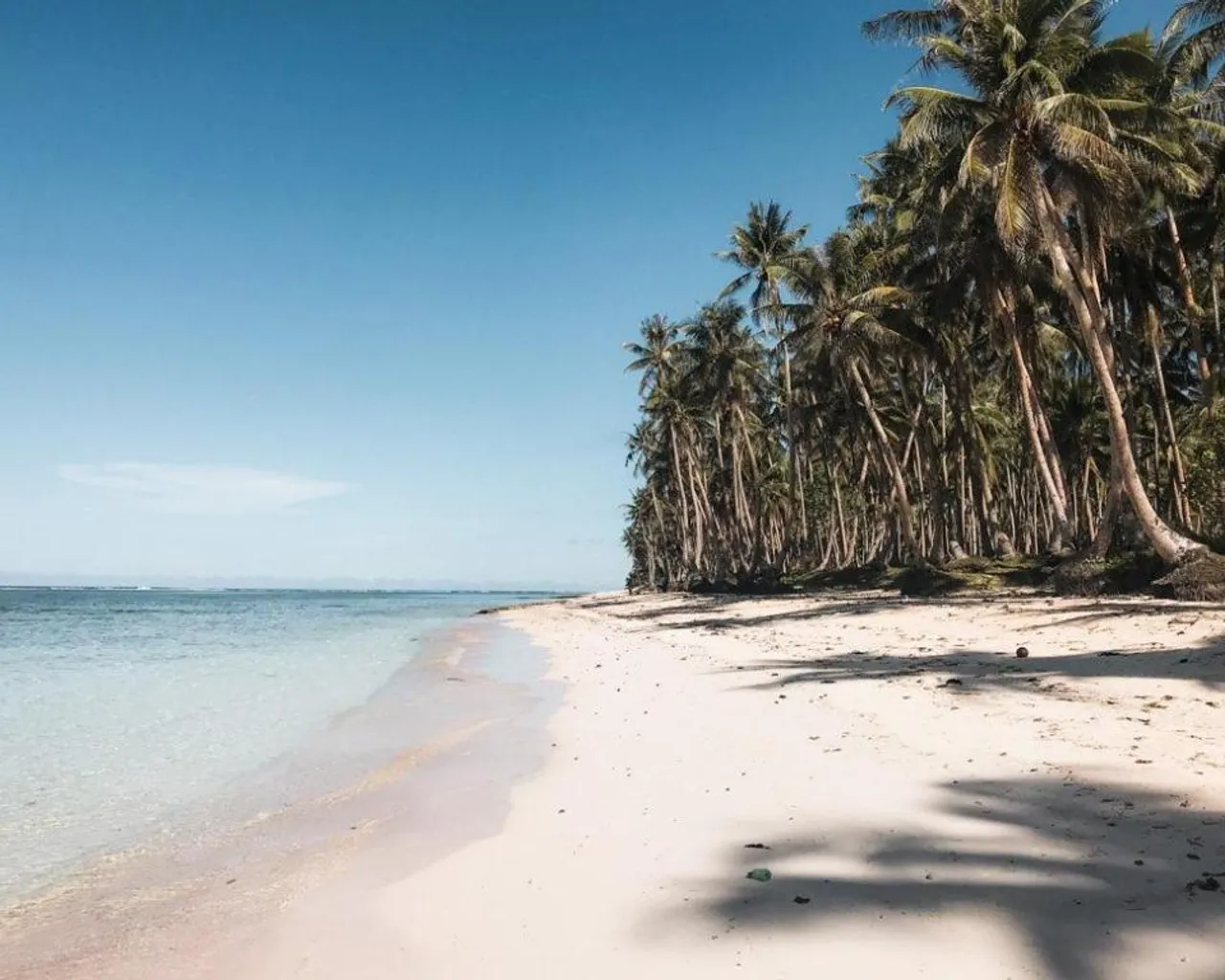 해변