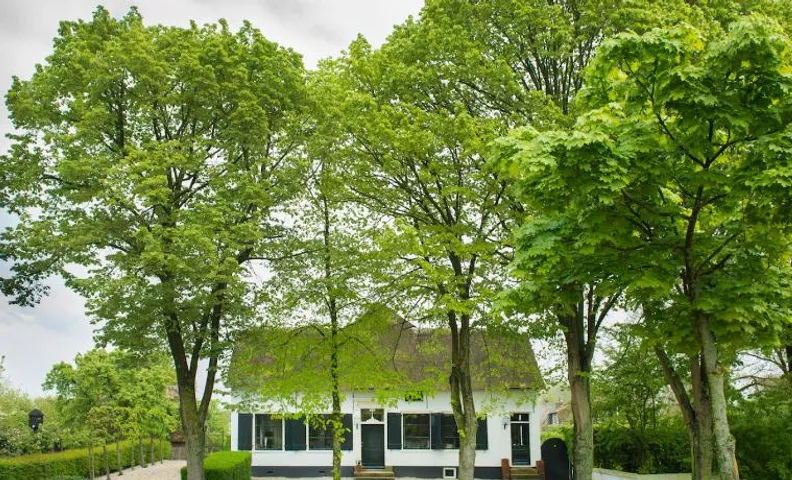 De Heeren van Tuil