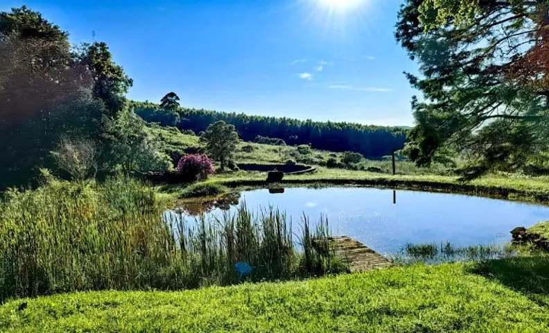 Serenity Cottages