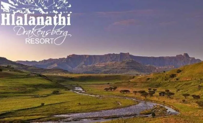 Hlalanathi Drakensberg Resort